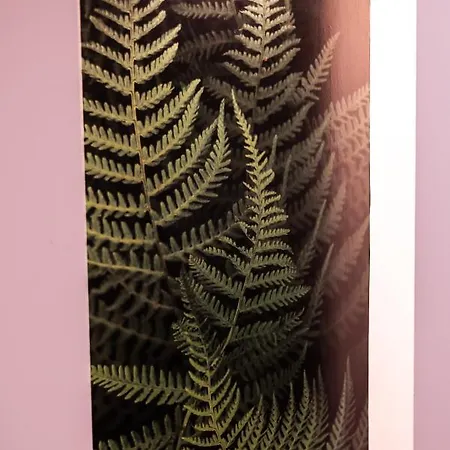 Paprotkowy Zakątek * Polanica-Zdrój