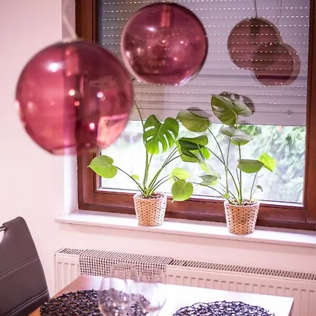 Paprotkowy Zakatek Apartment