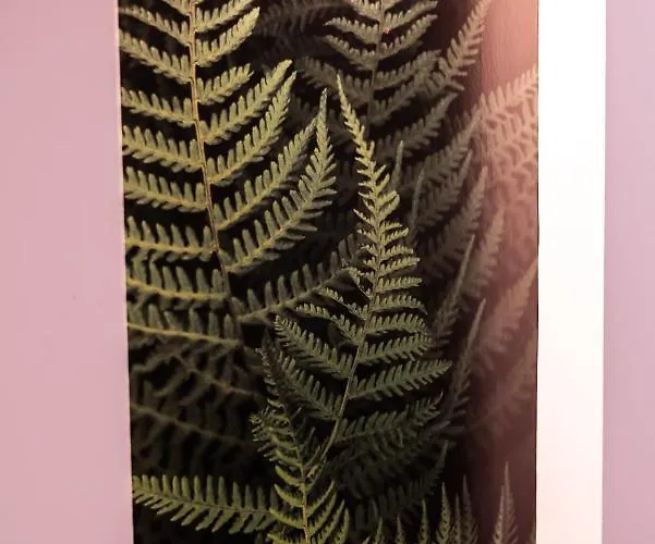 Paprotkowy Zakatek * 폴라니카-즈루이