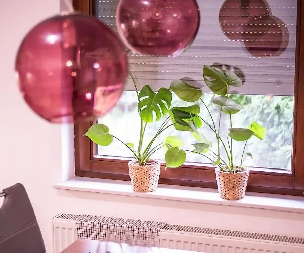 Paprotkowy Zakatek 아파트