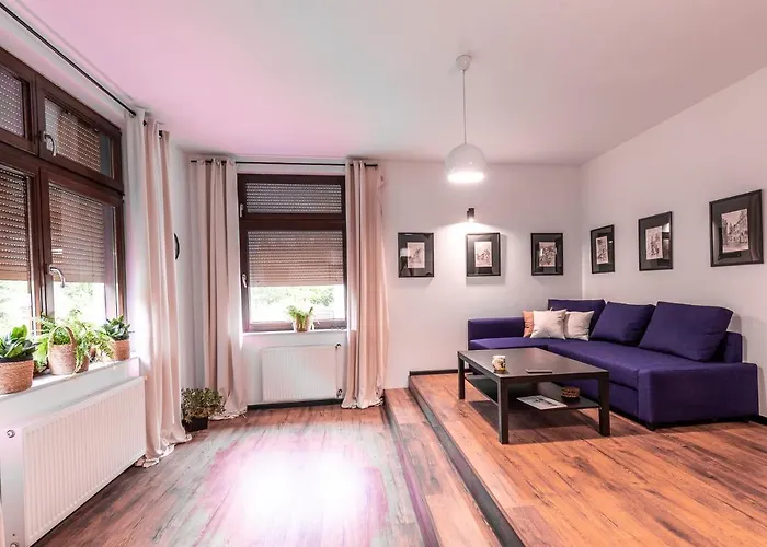 Paprotkowy Zakatek *